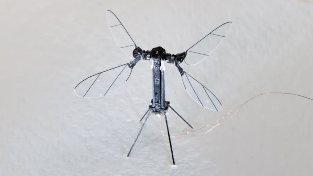 Chinese military unveils mosquito-sized drones that can perform battlefield missions
