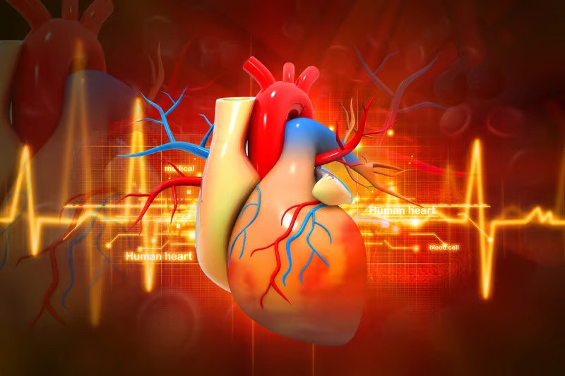 World's first "nonstop beating heart" transplant is a medical breakthrough